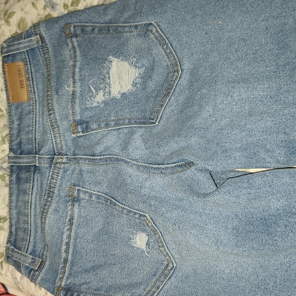 Plants - Picture 3 of 3